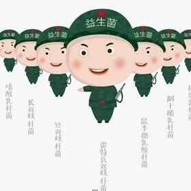 关于益生菌，不告诉你，是我的错；不听，那就是你的损失