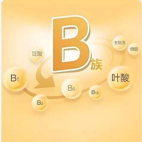经常运动的人体内可能都缺乏维生素B