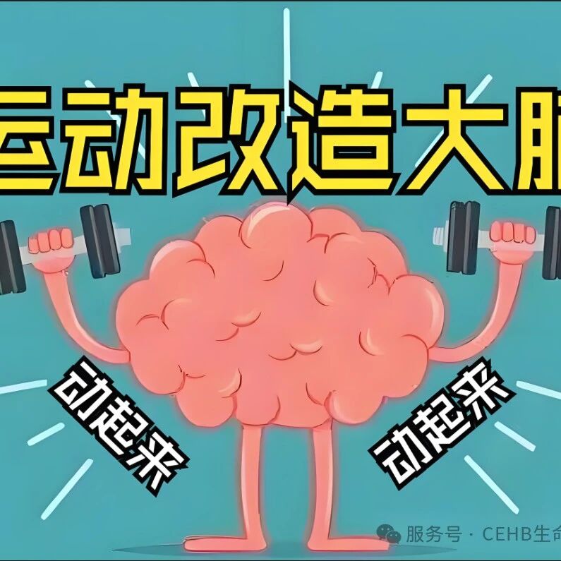 运动可以使头脑更发达