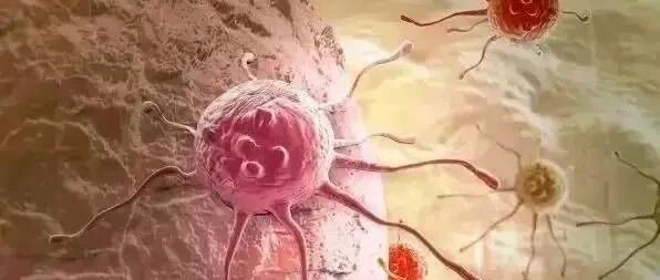 科学最新发现：癌细胞最怕"爱"