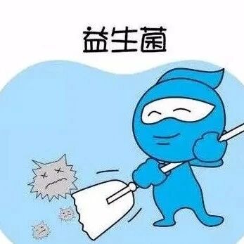 益生菌，肠道的“主角”就是你！！